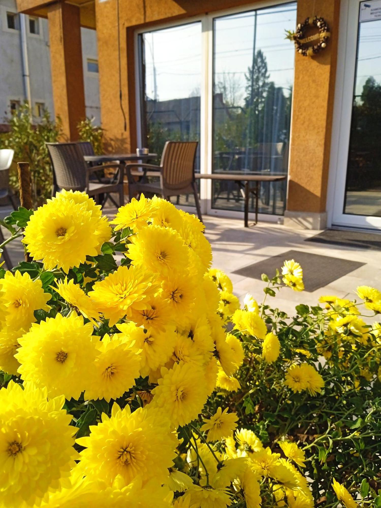 Alfred Panzio Bed & Breakfast Budapest Exterior photo
